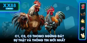 C1 C2 C3 Thomo Ngừng Đá? Sự Thật Và Thông Tin Mới Nhất